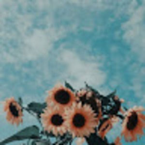 Meet your Posher, Shayla